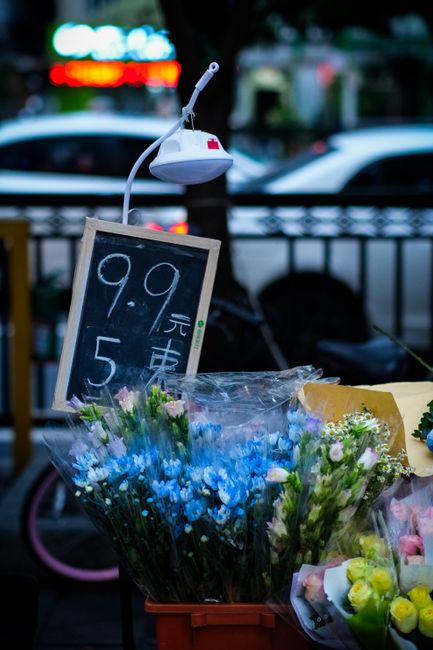 A display of fresh floral bouquets placed on a table outdoors, featuring a variety of flowers in shades of blue, pink, and white wrapped in clear plastic. The arrangement includes small, delicate blos